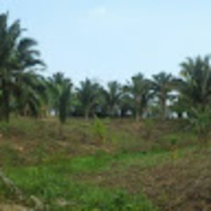 Meet your Posher, Marvin